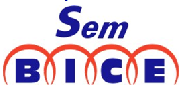 Sem BICE